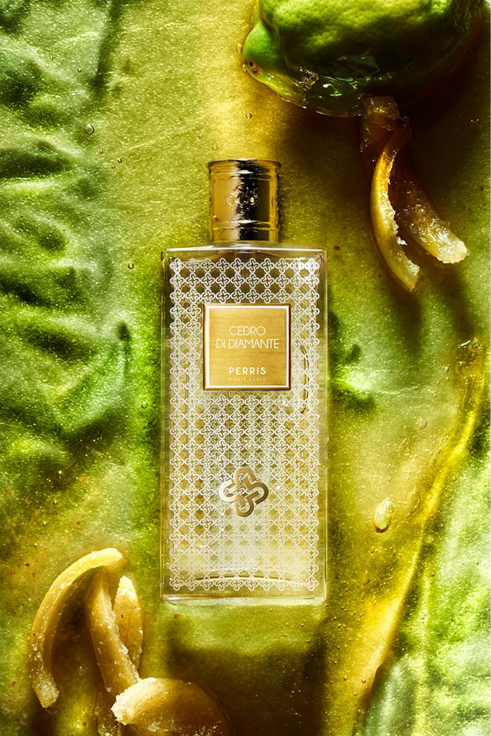 Cedro di Diamante edp