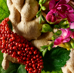 Image of Fiery pink pepper body wash